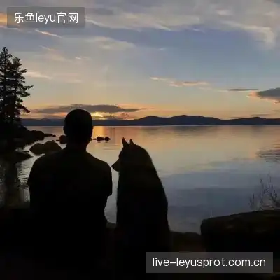 时霓